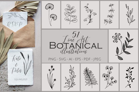 51 Line Art Botanical Illustrations Bundle Review