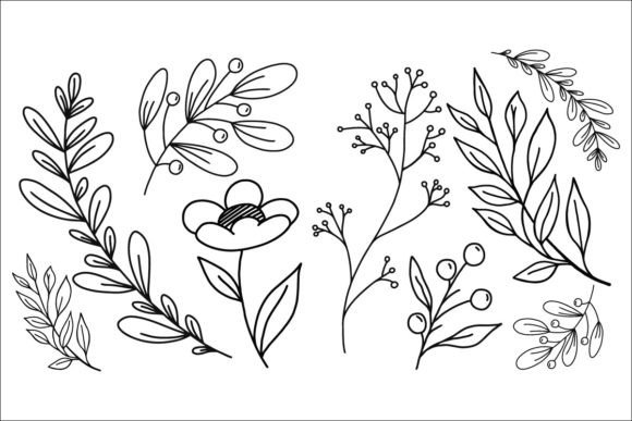 6 Botanical Illustrations: Graphics for Branding