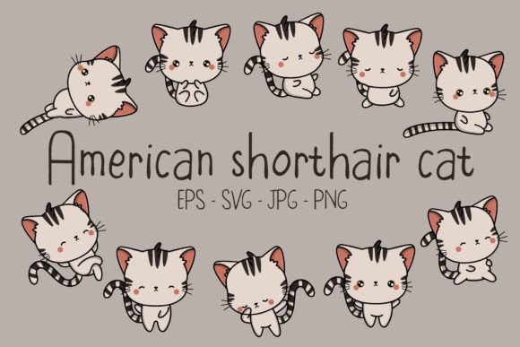 American Shorthair Cat Illustrations Set Graphics