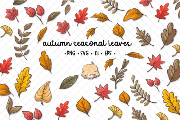 Autumn Fall Season Leaves Illustrations Review