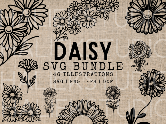 Daisy SVG Illustrations: A Designer's Review