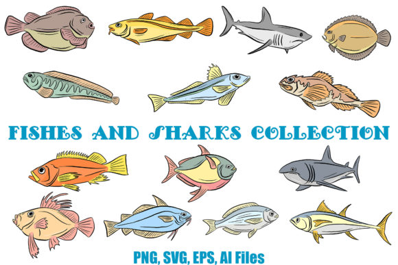 Line Art Fish and Sharks Illustrations Review