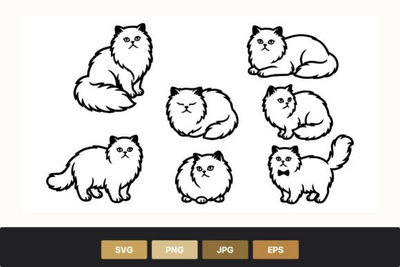 Persian Cat Line Art Illustrations Review