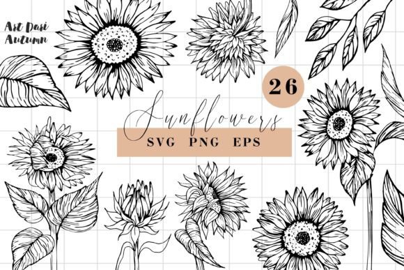 Sunflower SVG Line Art Graphics & Illustrations