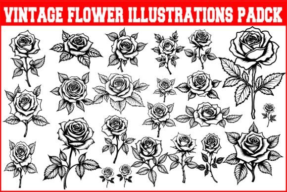 Vintage Flower Illustrations Pack Review